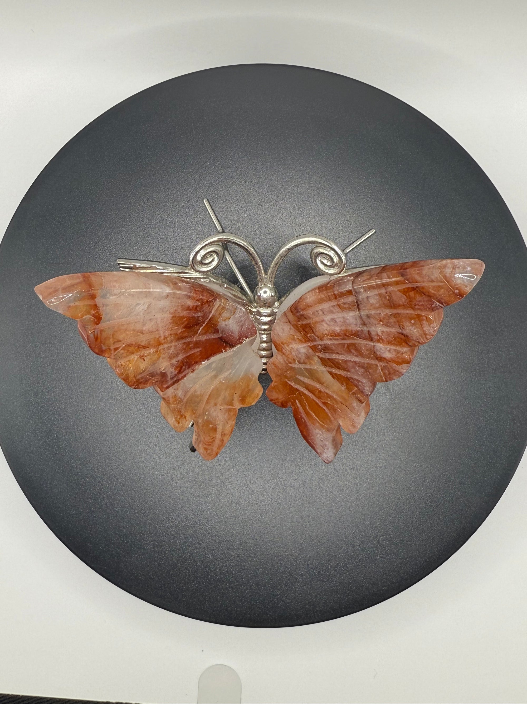 Carnelian Butterfly