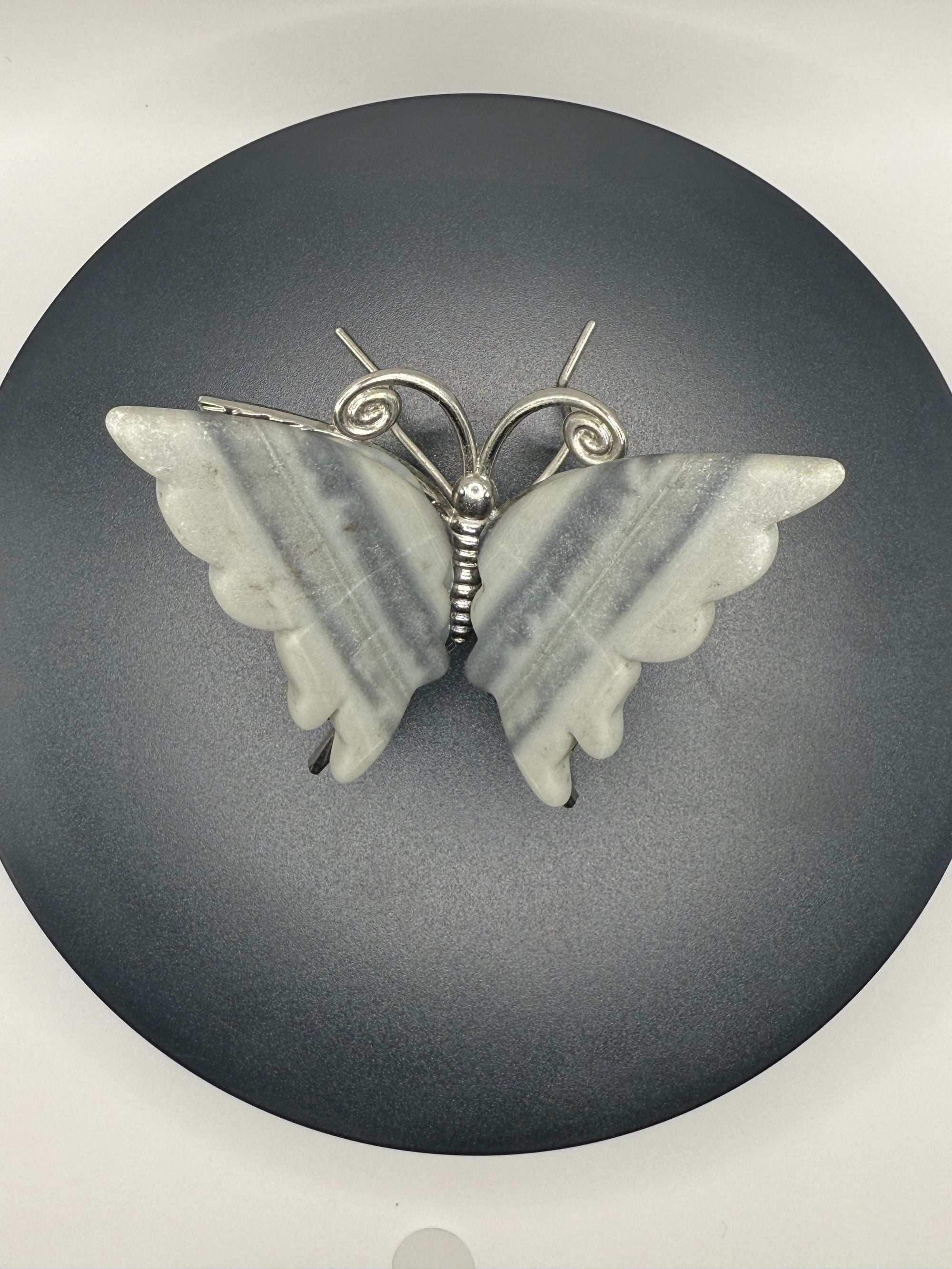 Zebra Jasper Butterfly